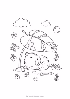 to-mau-capybara