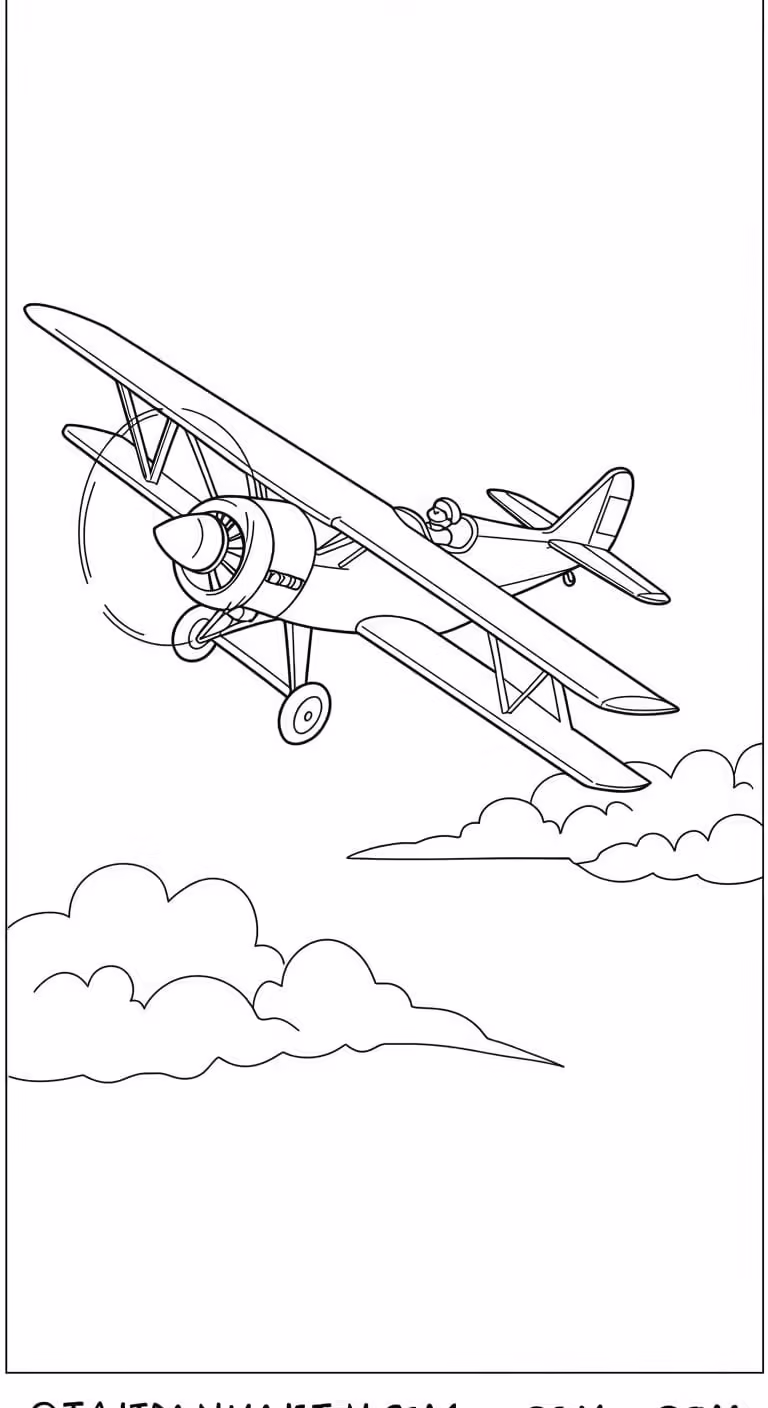 Hình 22