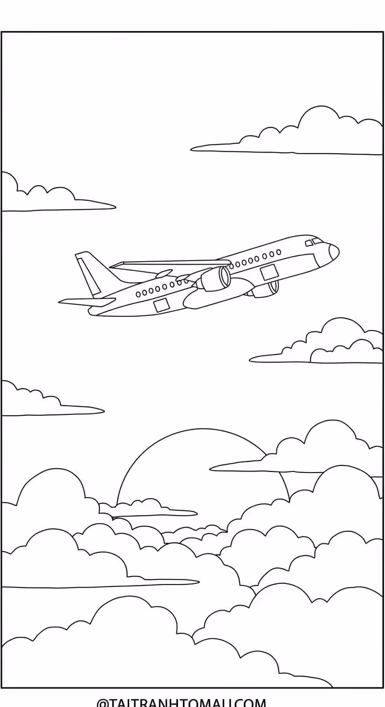 Hình 80