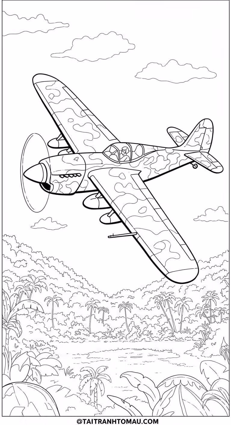 Hình 23