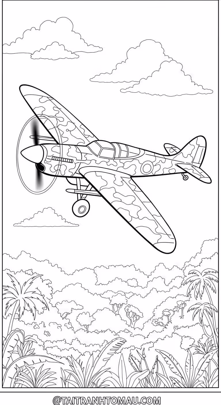 Hình 24