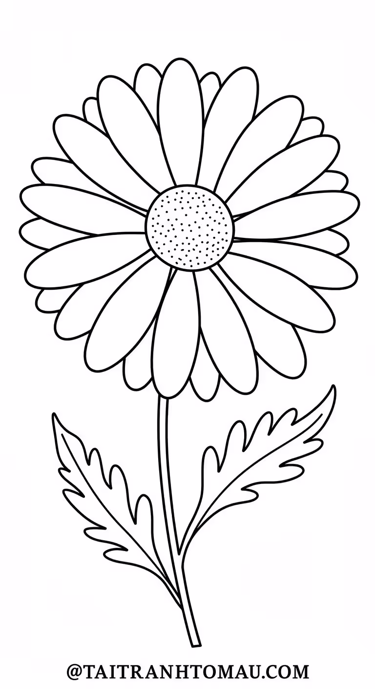 Hình 2