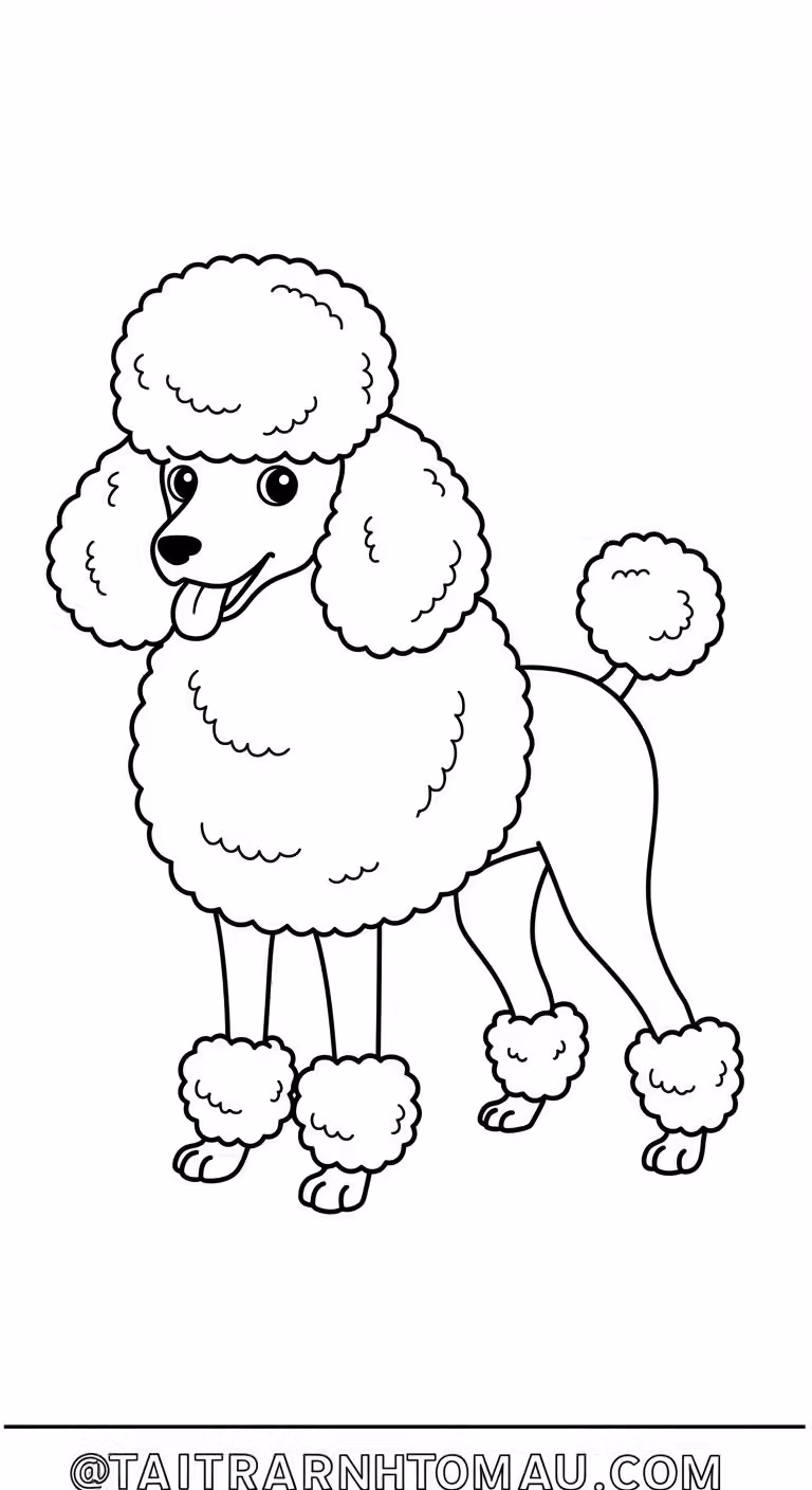 Hình 6
