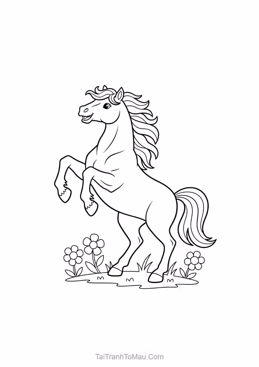 Hình 19