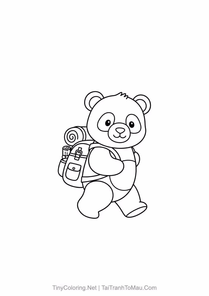 Hình 21