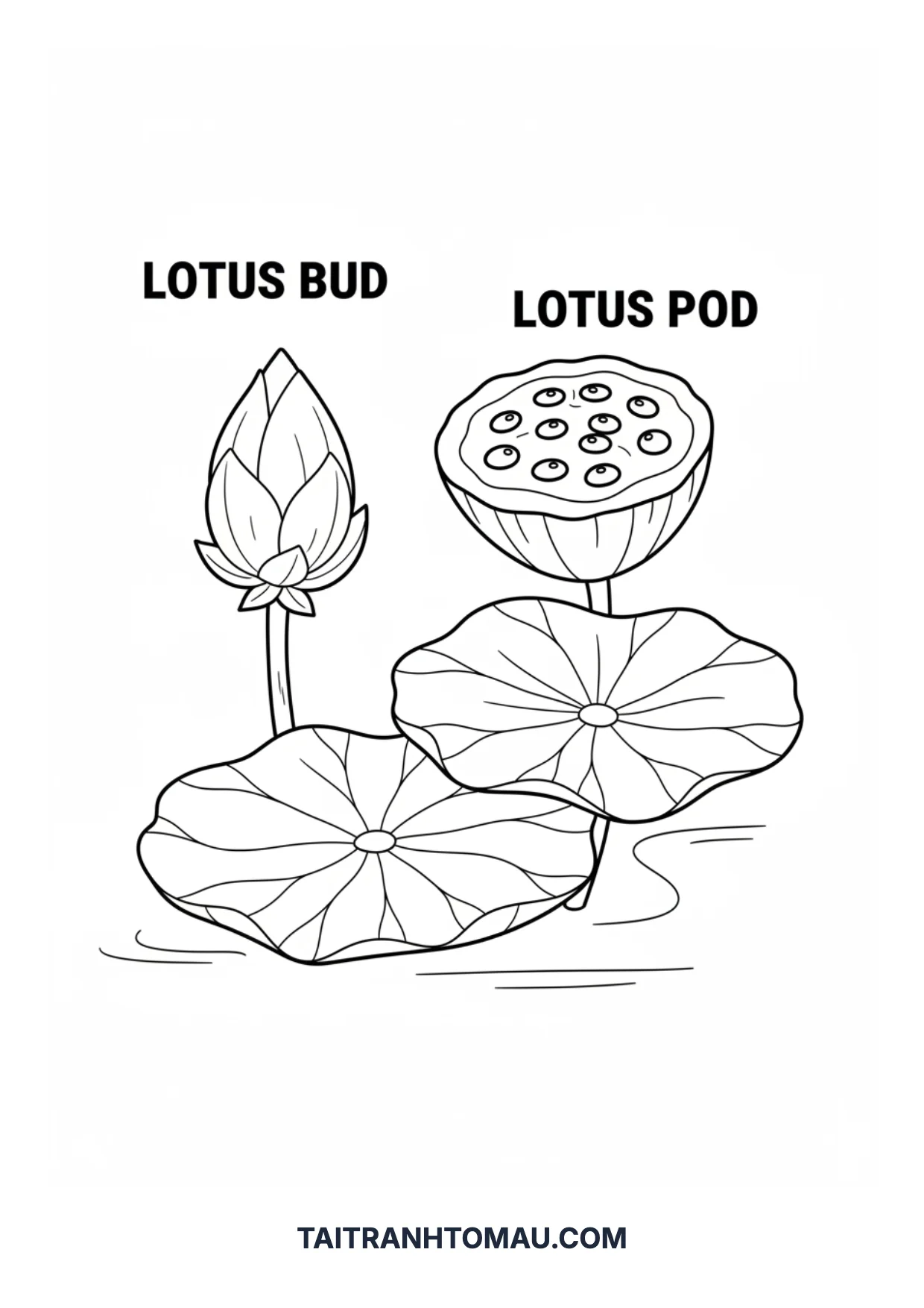 Coloring page 13