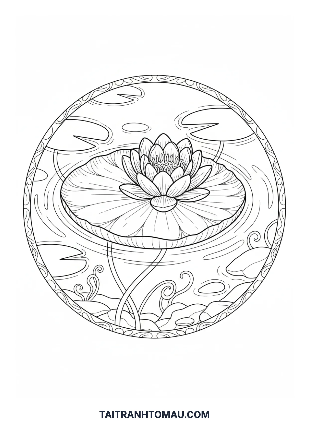 Coloring page 45
