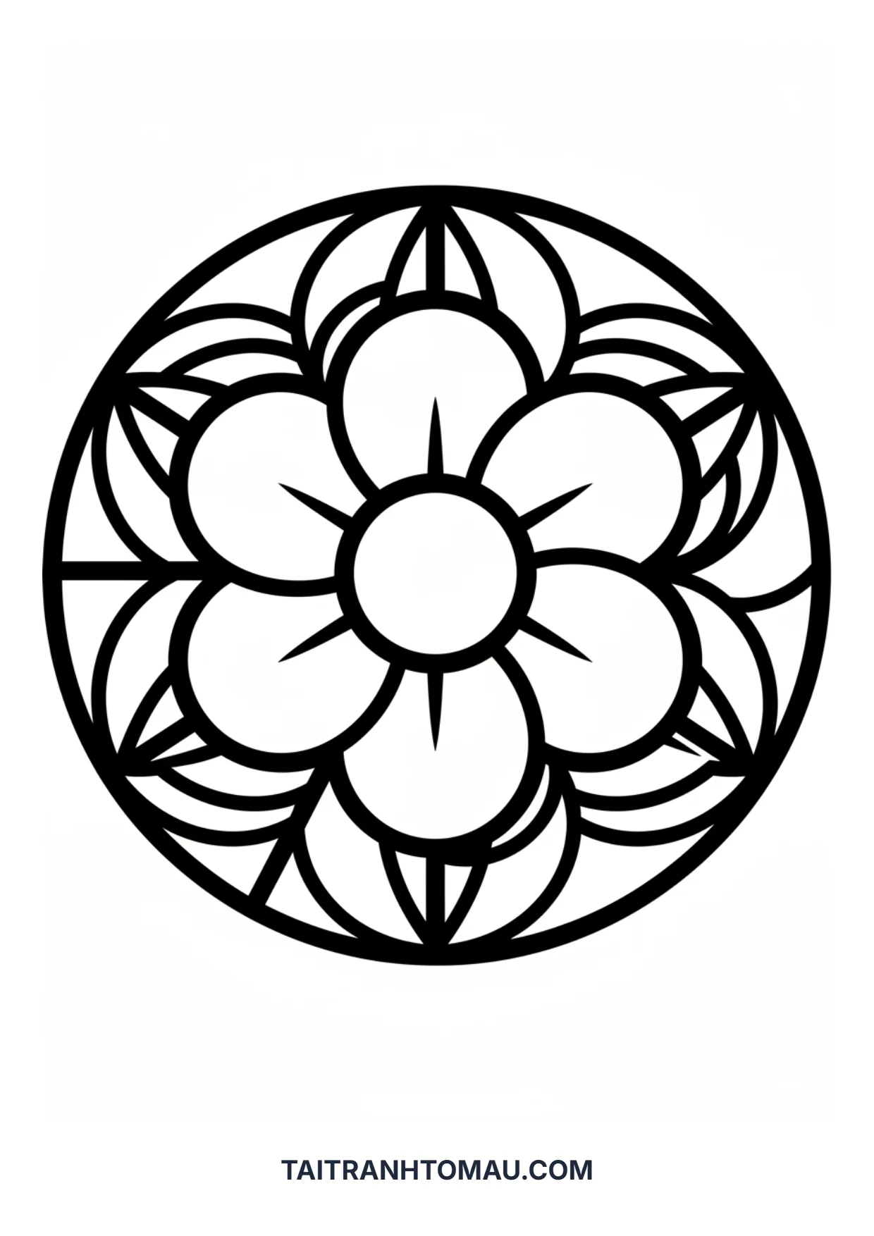 Hình 19