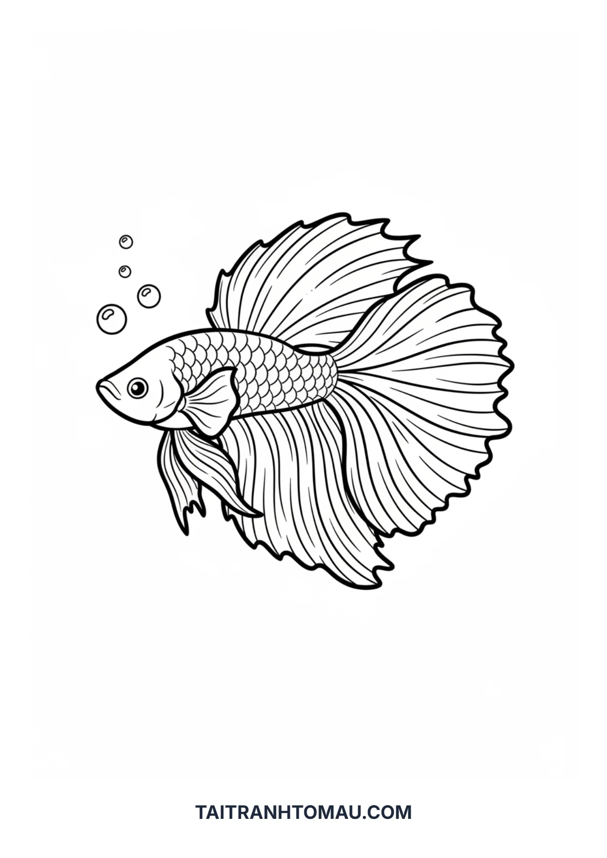 Hình 31