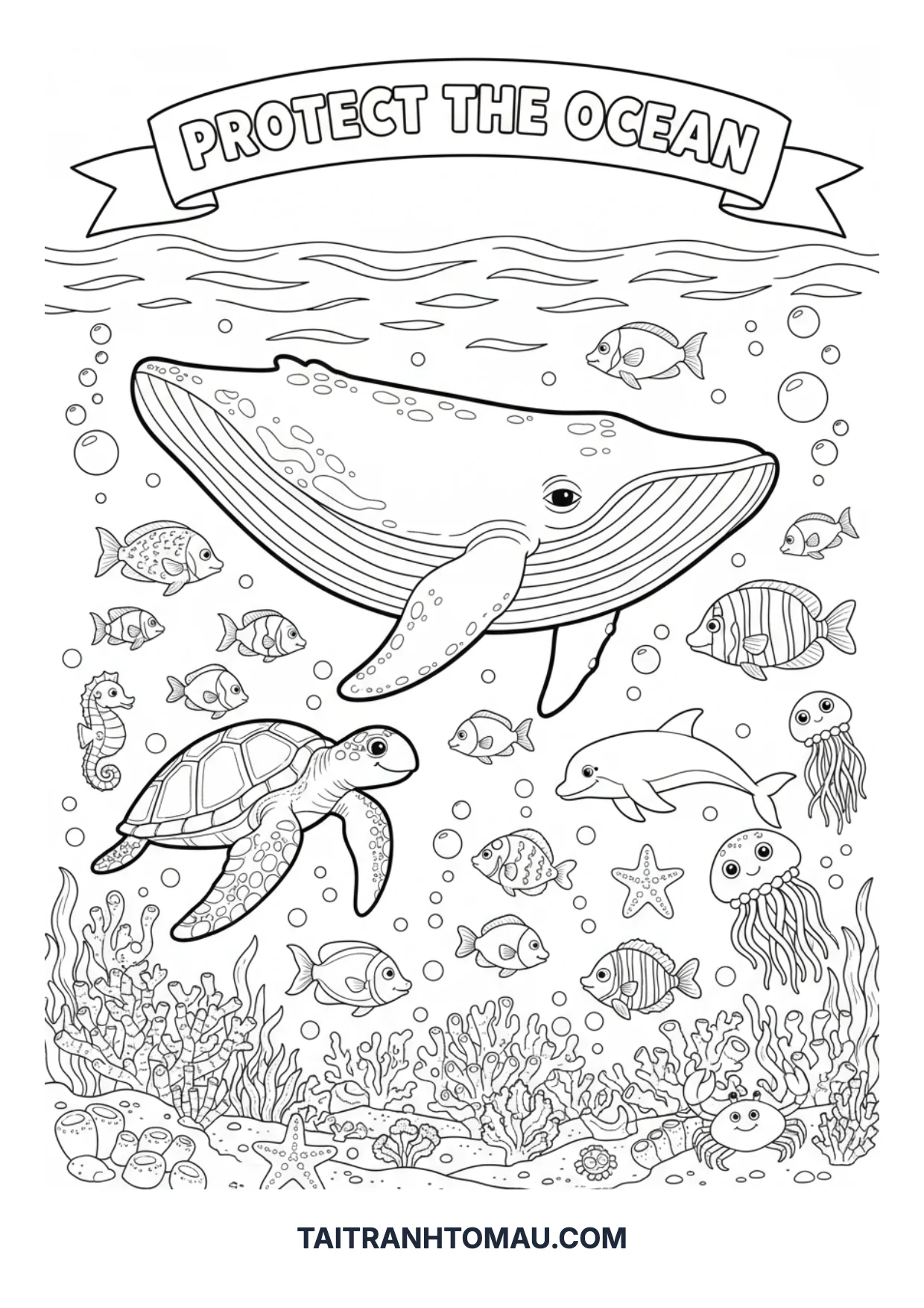 Hình 40