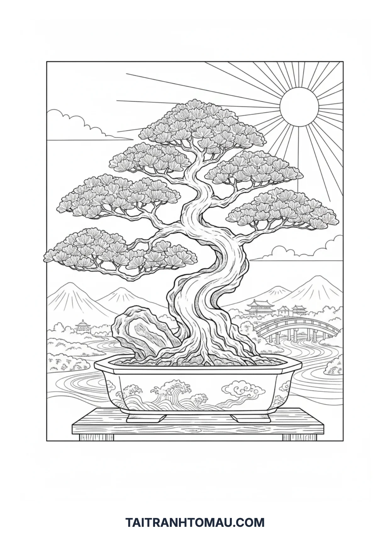 Hình 23
