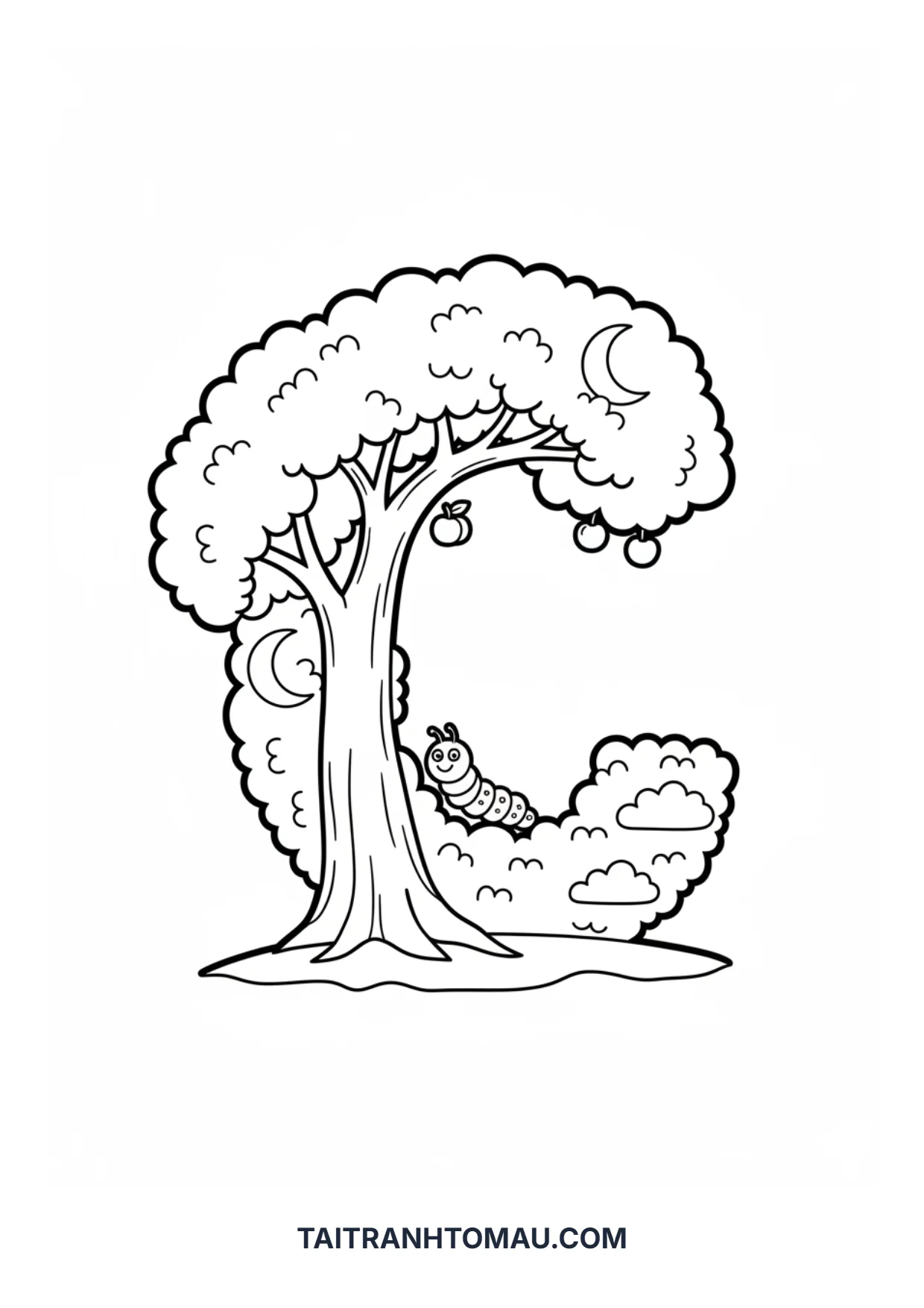 Hình 34