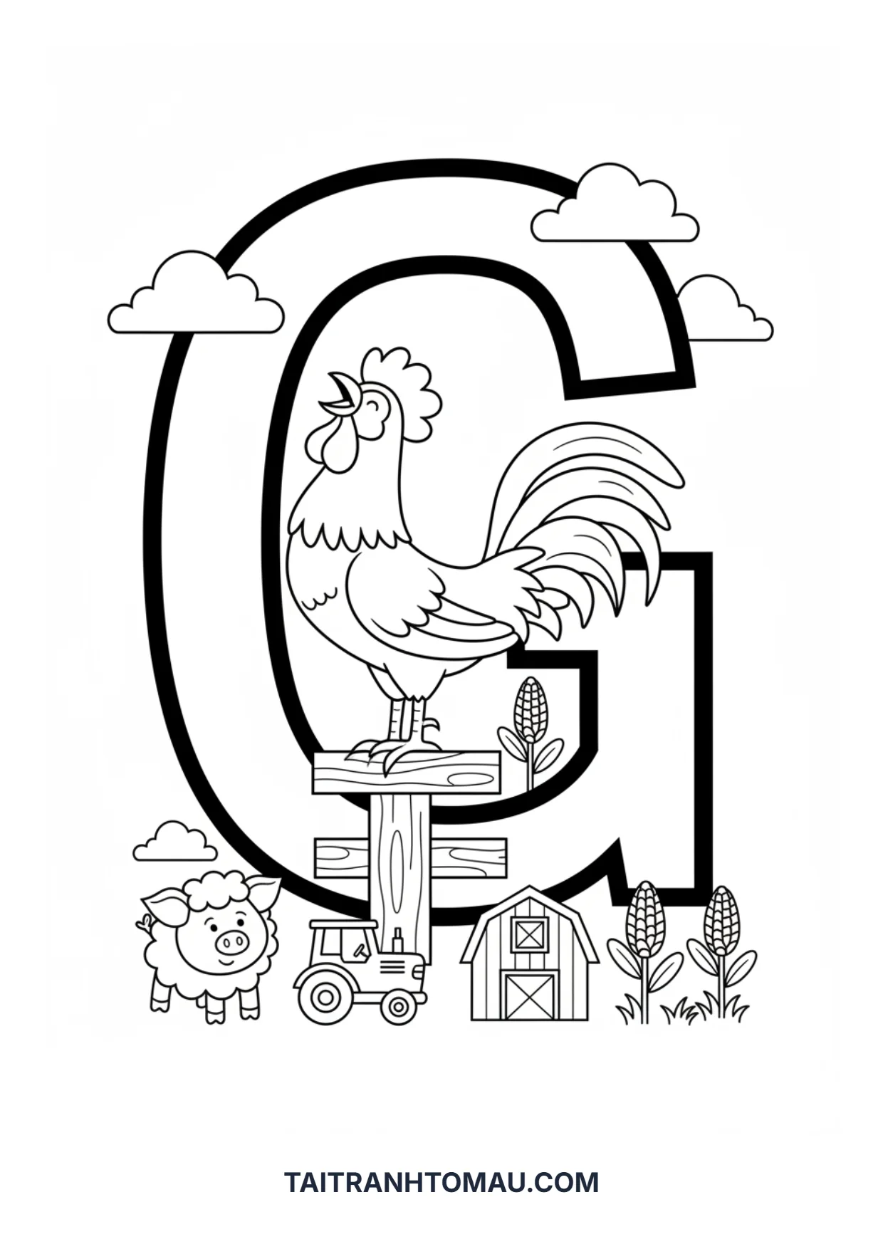Hình 10