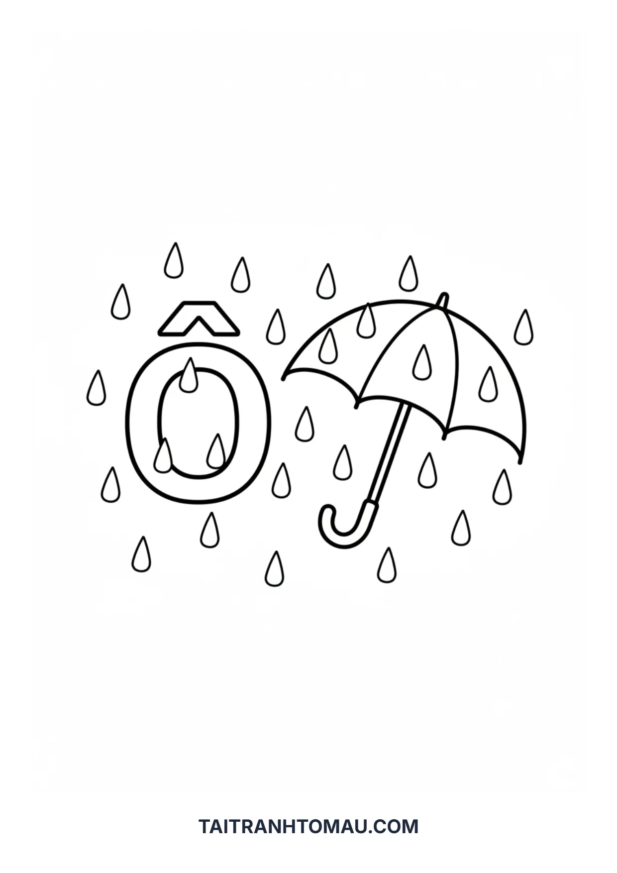 Hình 17