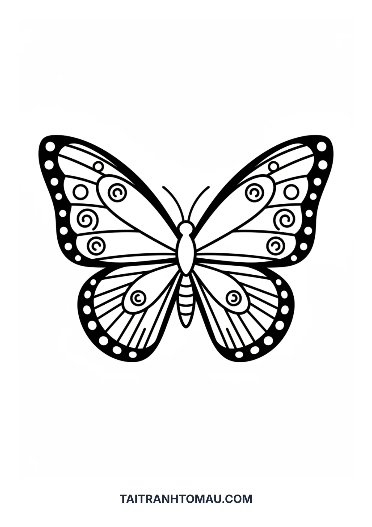 Hình 25
