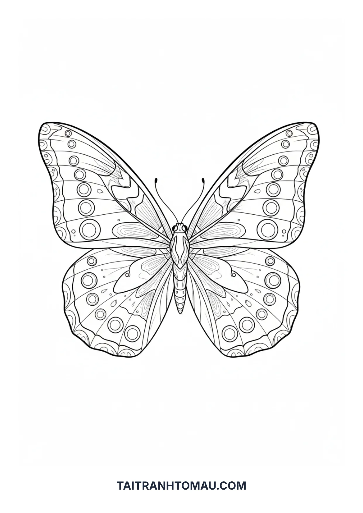 Hình 14