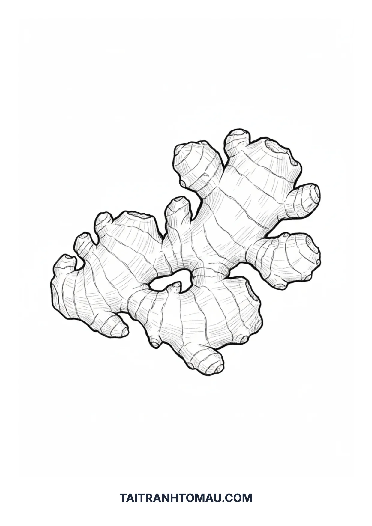 Coloring page 29