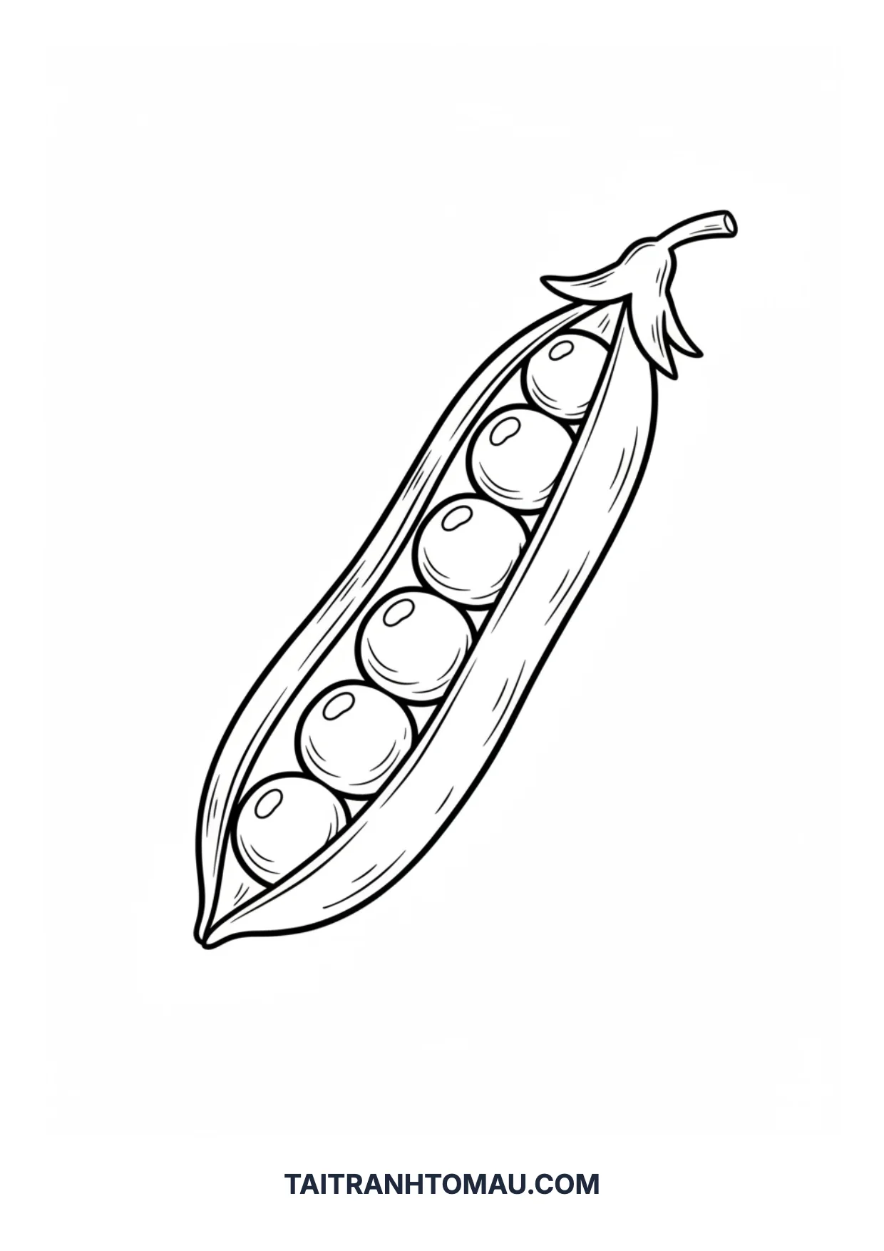 Coloring page 24