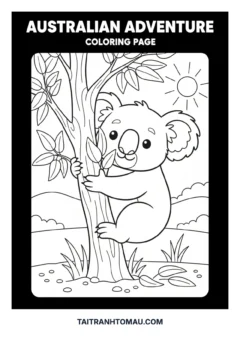 Tranh tô màu cây xanh gấu koala ôm cây