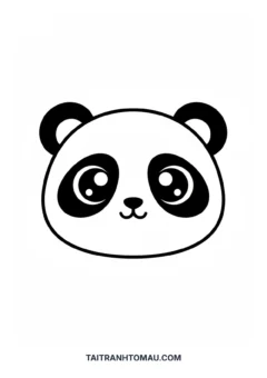 Tranh tô màu gấu cute gấu trúc chibi