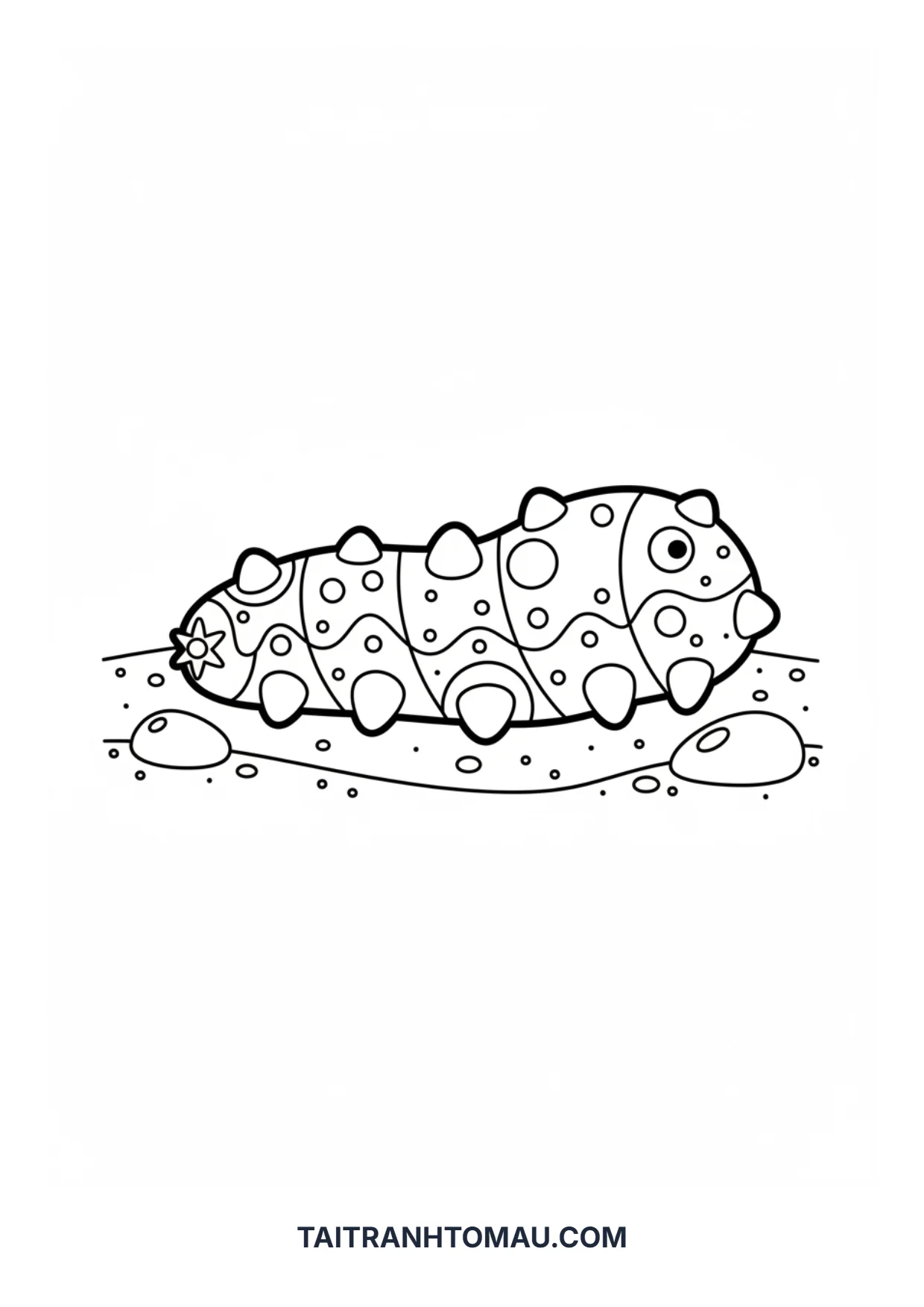 Hình 32
