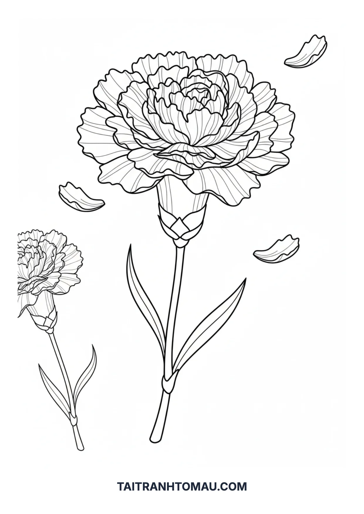 Coloring page 40