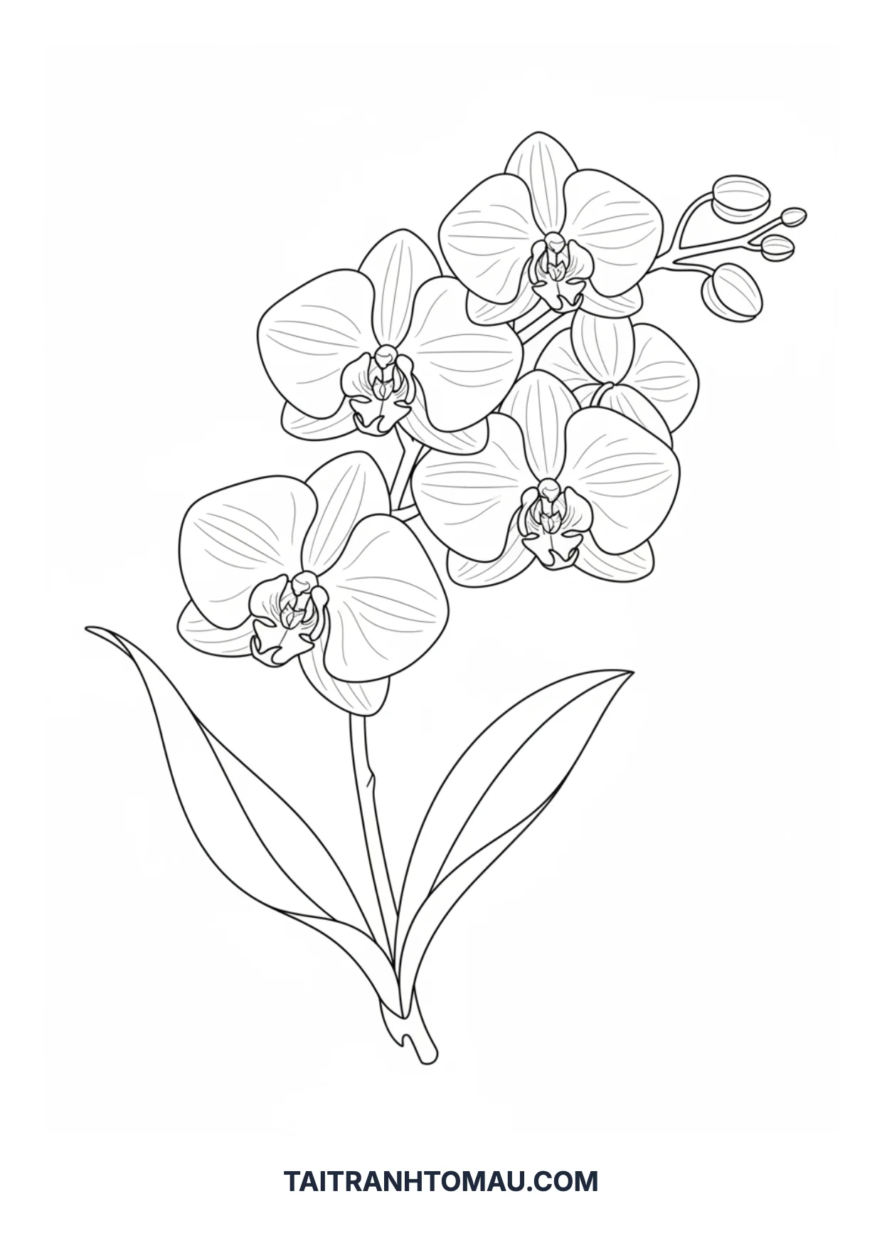 Coloring page 24