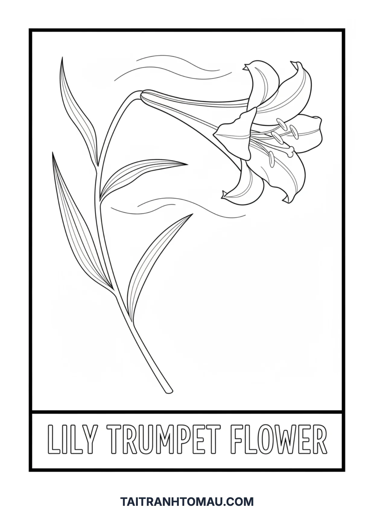 Coloring page 37