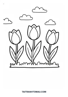 Tranh tô màu hoa tulip