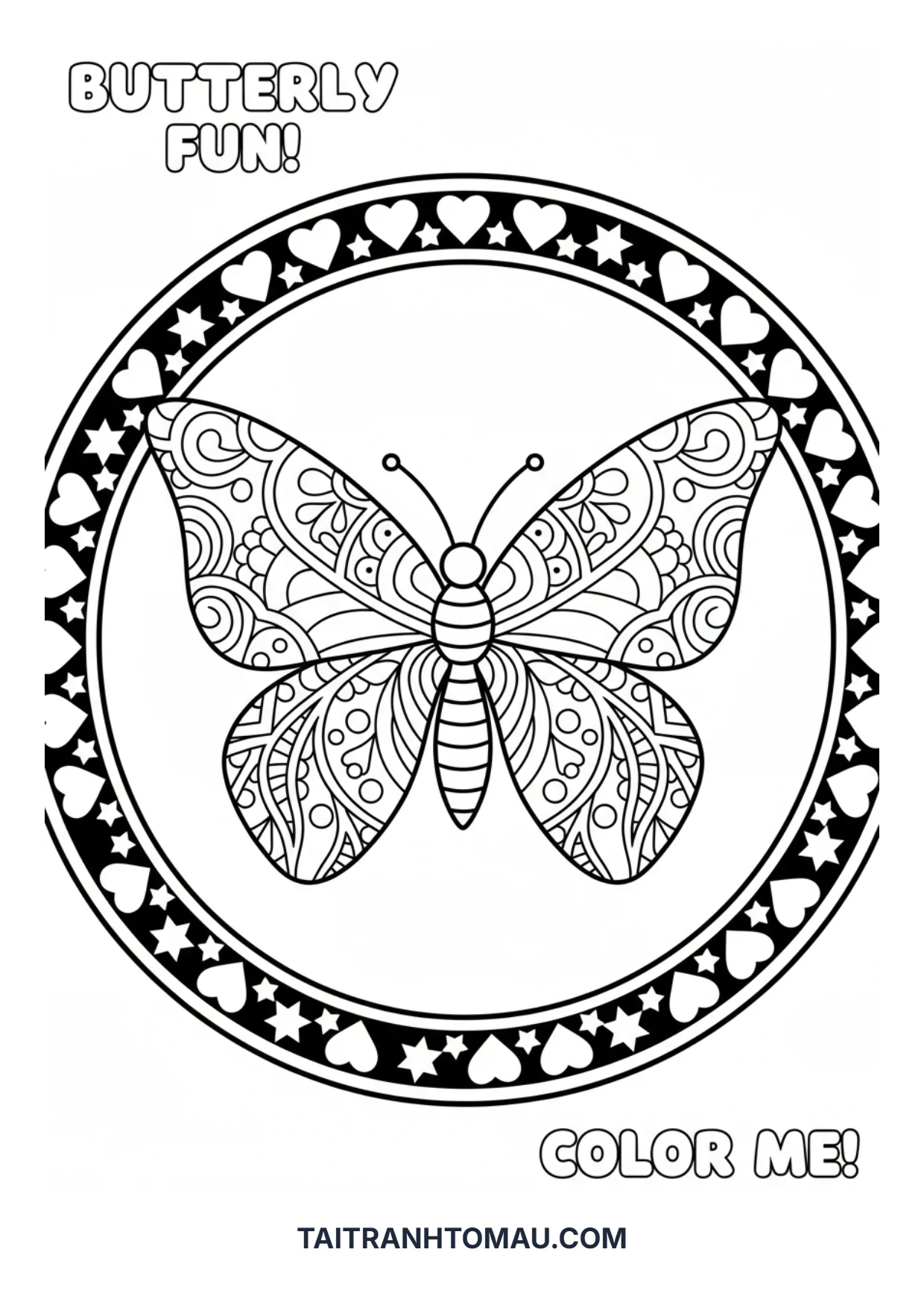 Hình 16