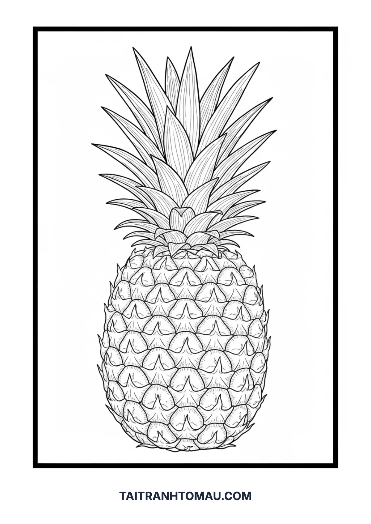 Hình 24