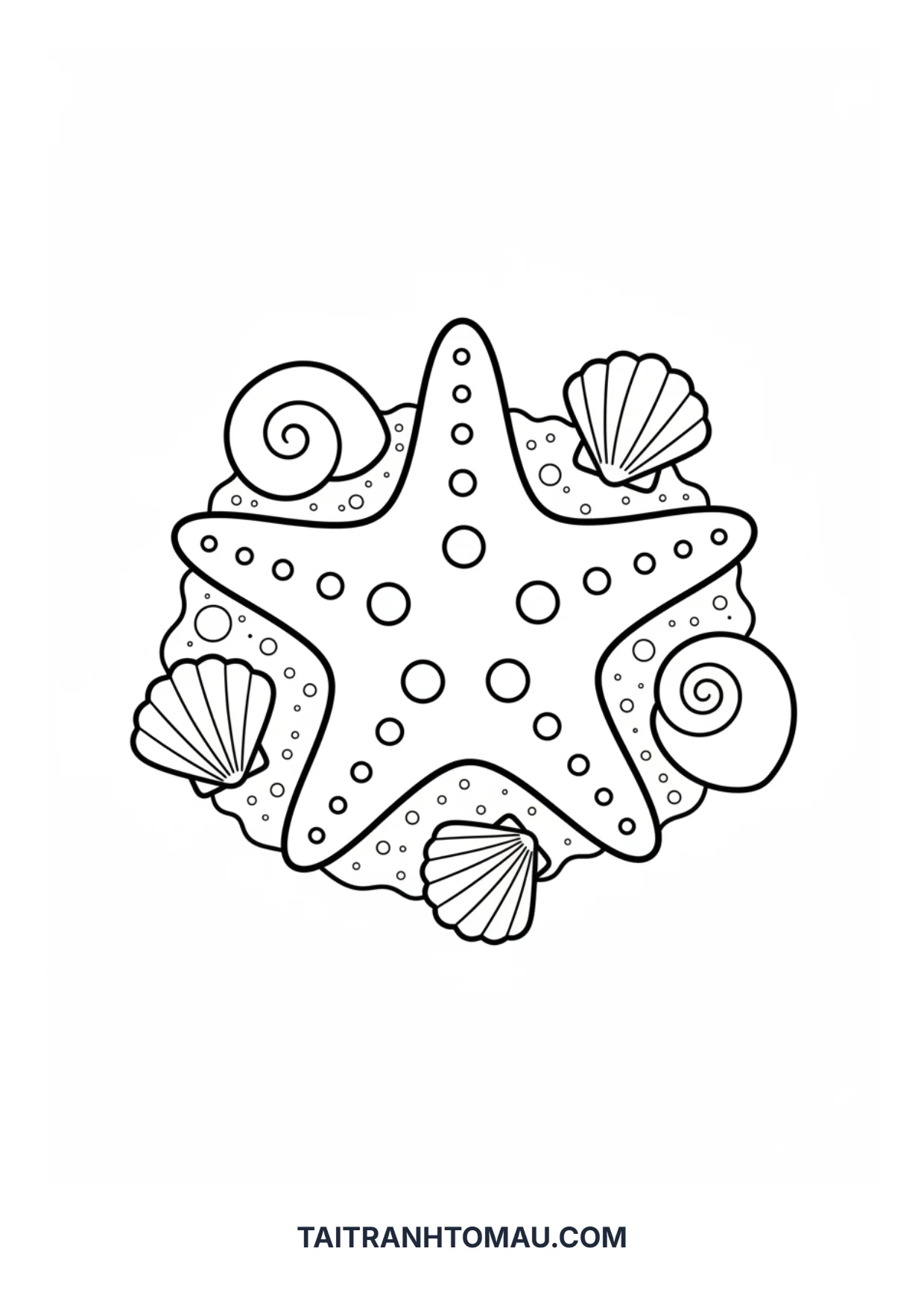 Hình 16