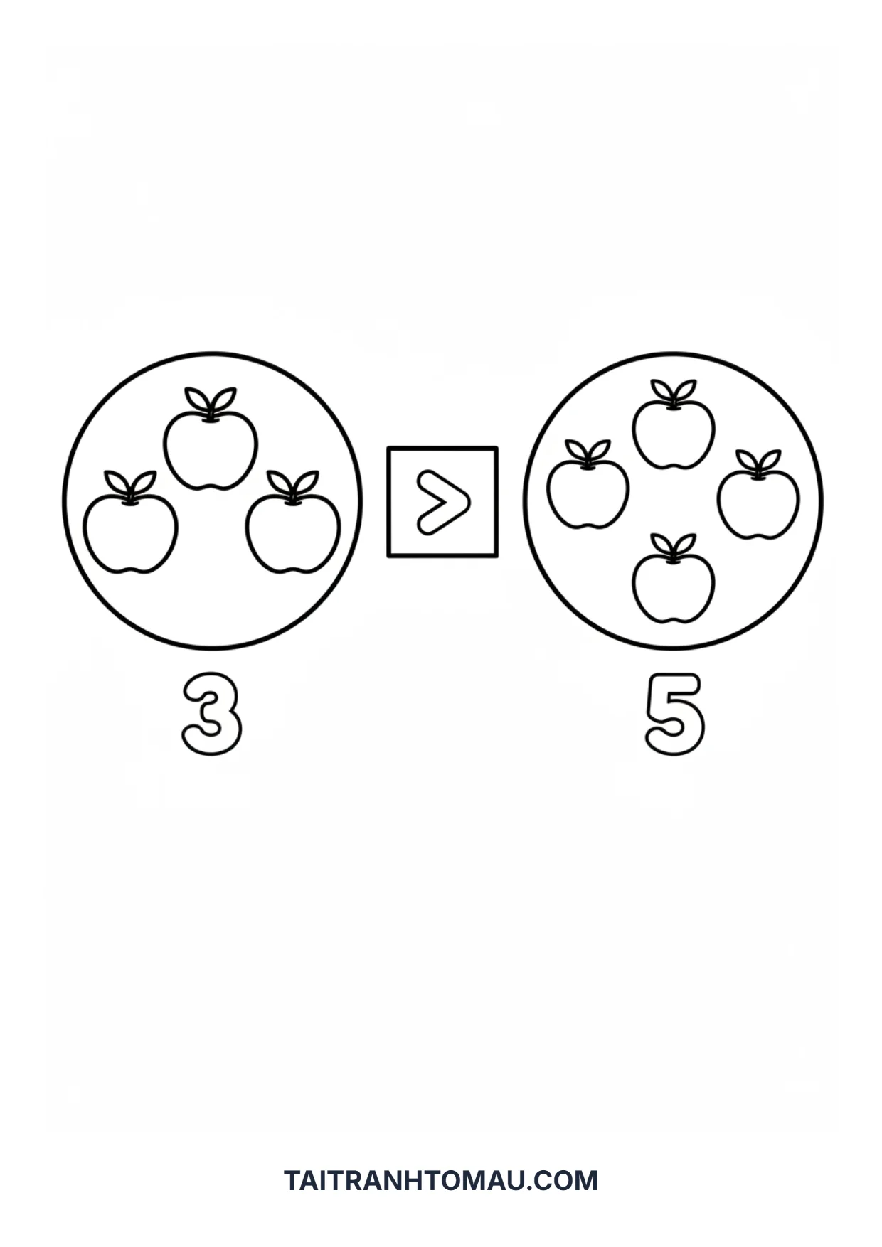 Hình 25