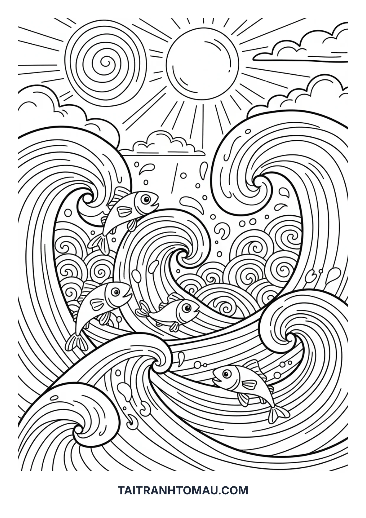 Hình 24