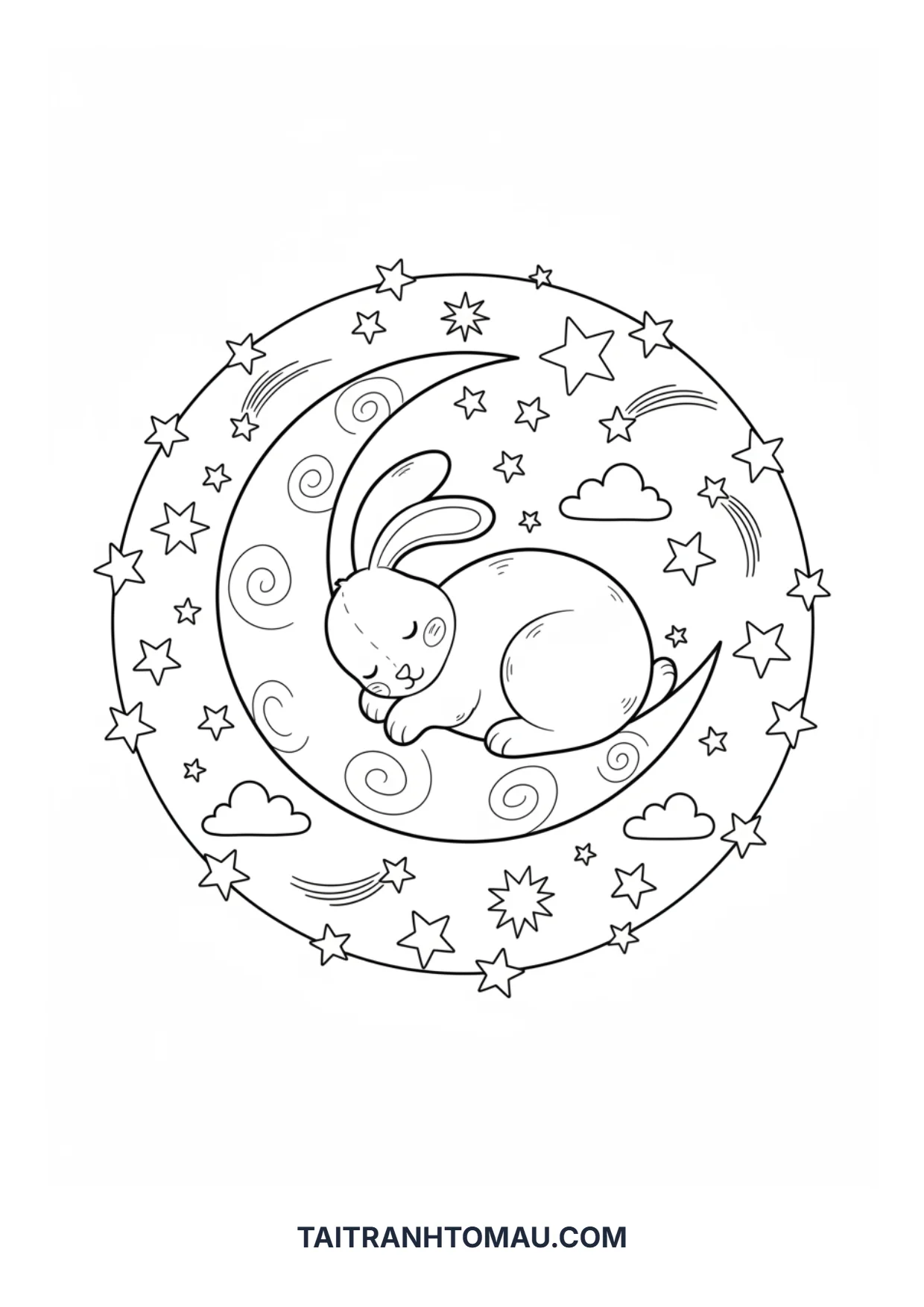 Hình 6