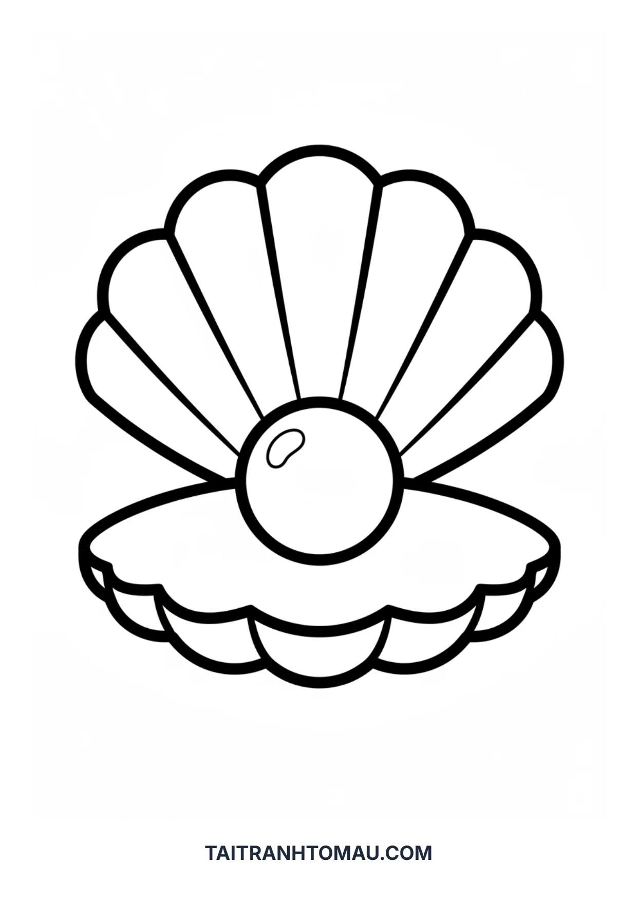 Hình 24