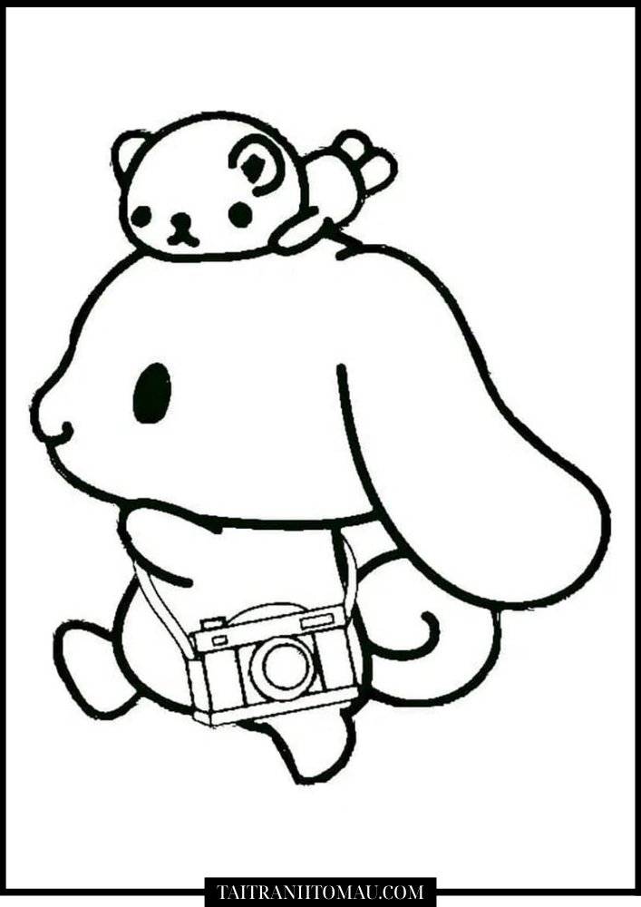 Hình 9