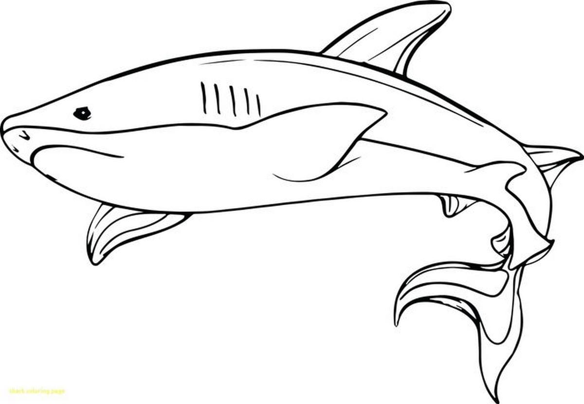 Coloring page 69