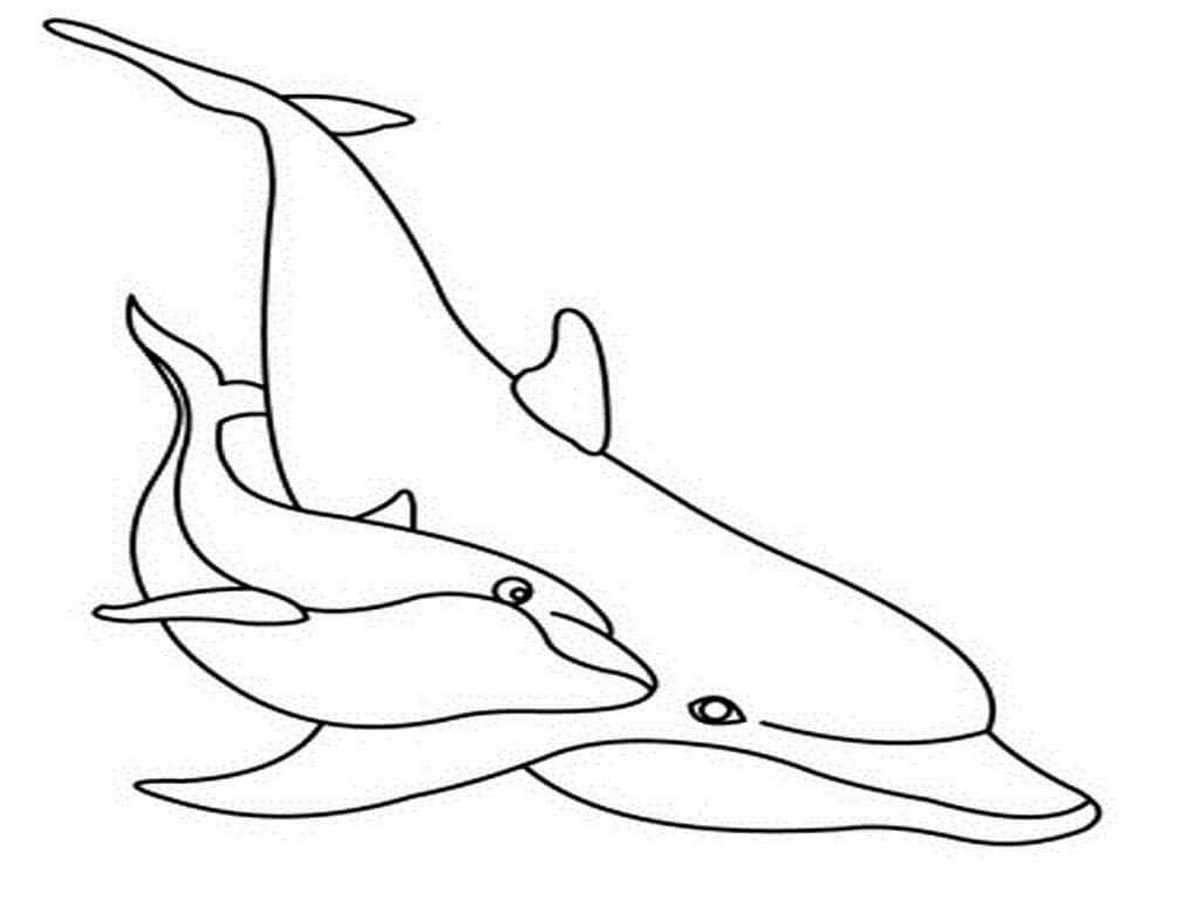 Coloring page 17