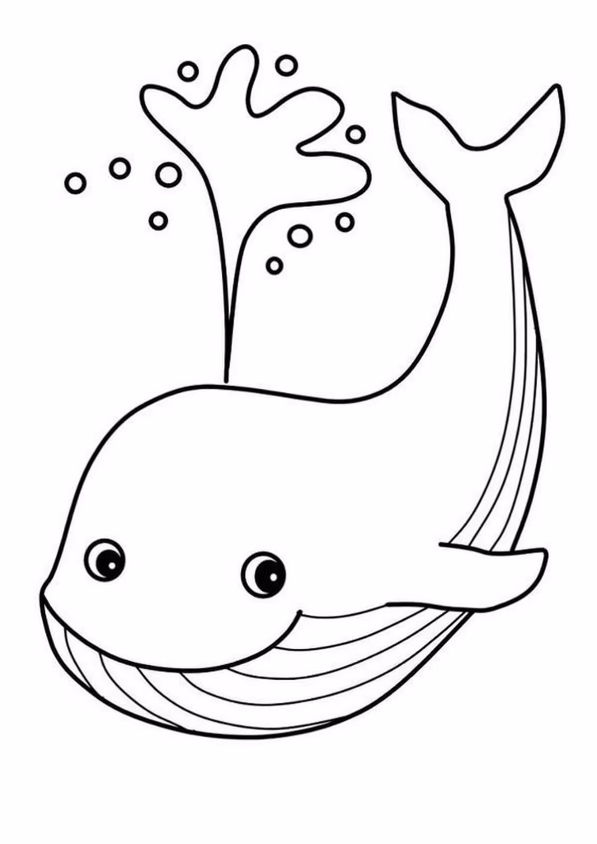 Hình 48