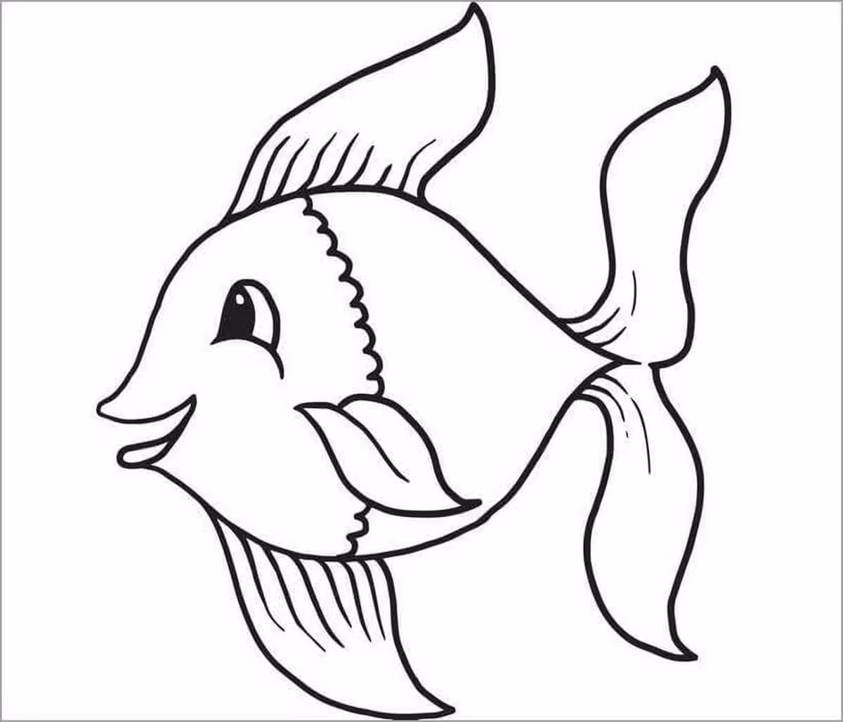 Hình 23