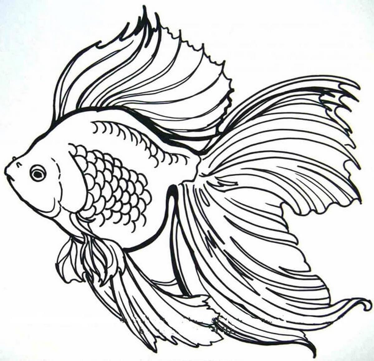 Coloring page 131