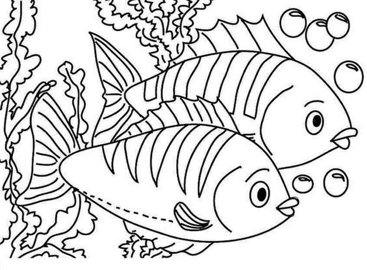 Coloring page 43