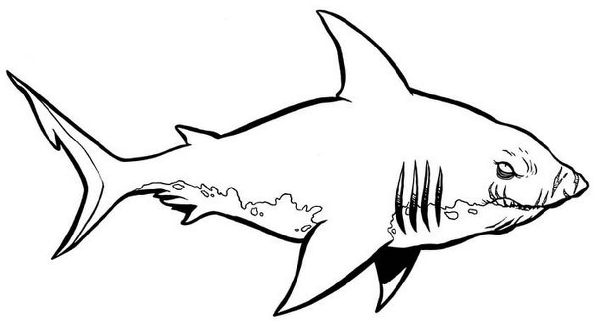 Coloring page 155
