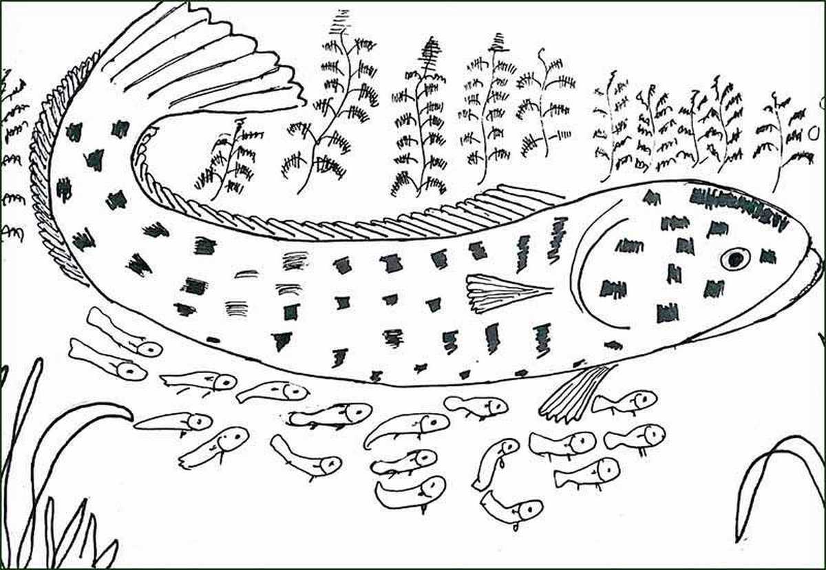Coloring page 148