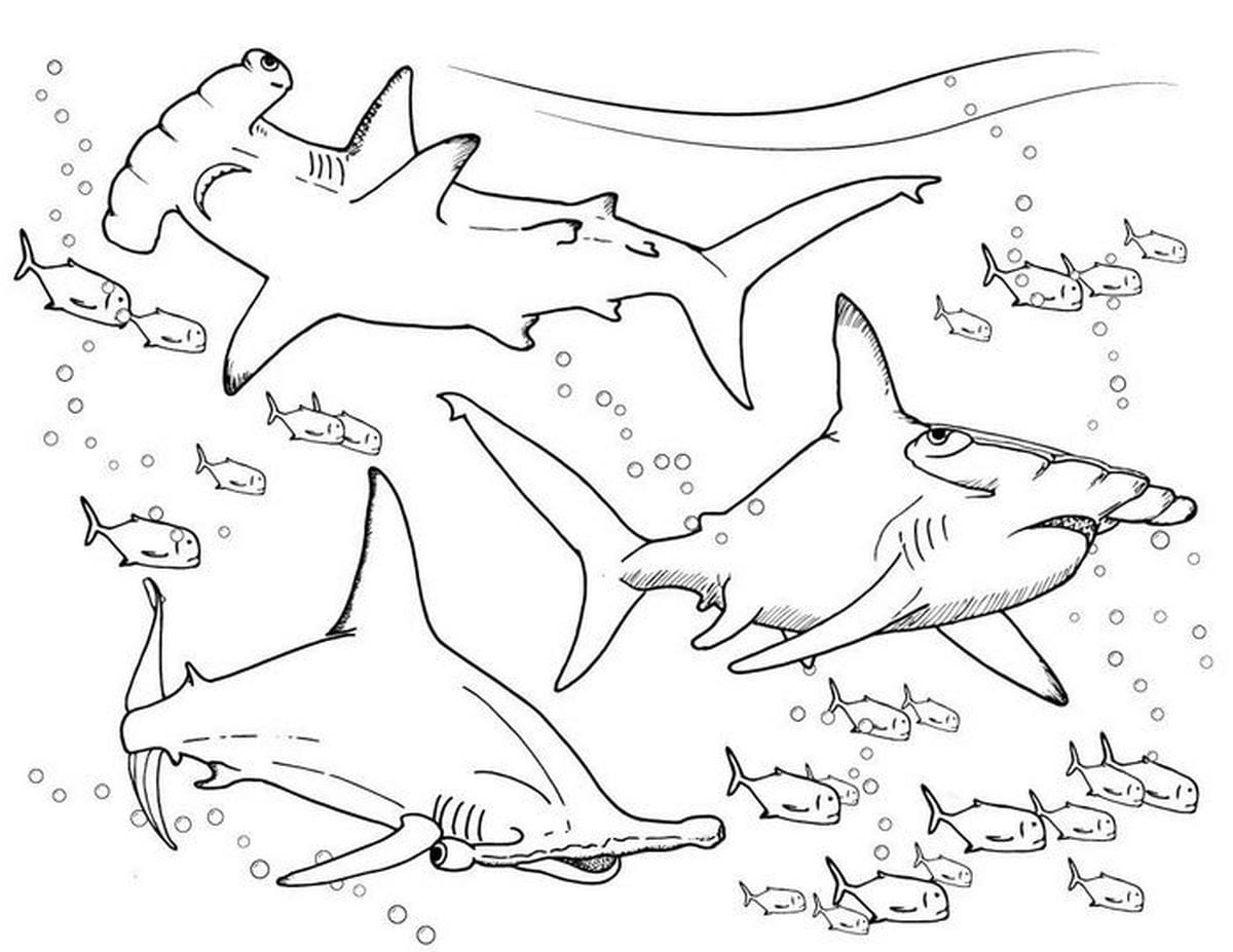 Coloring page 4