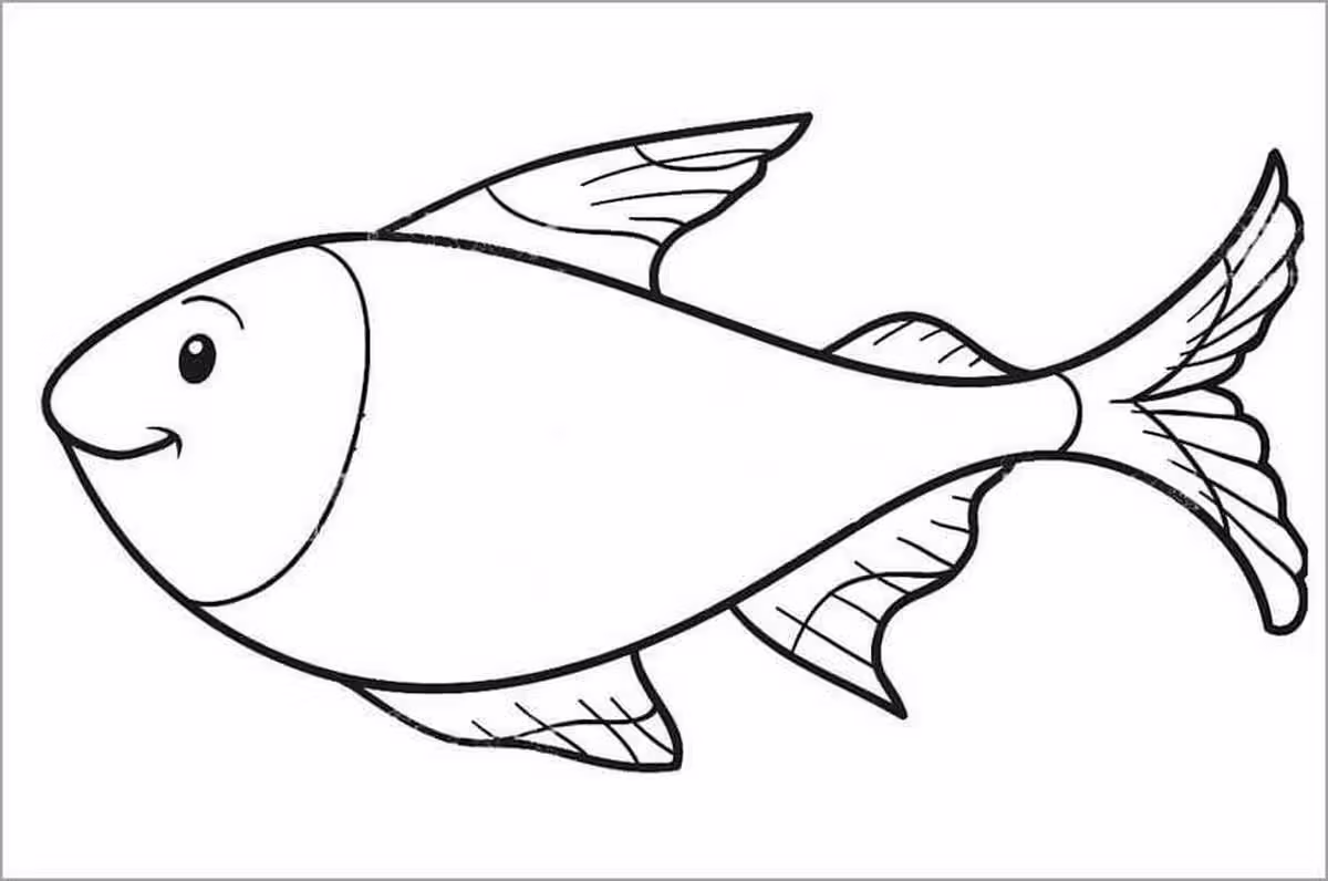 Hình 26