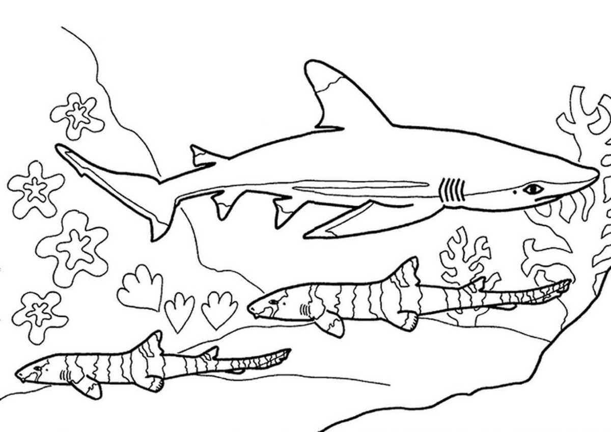 Coloring page 19