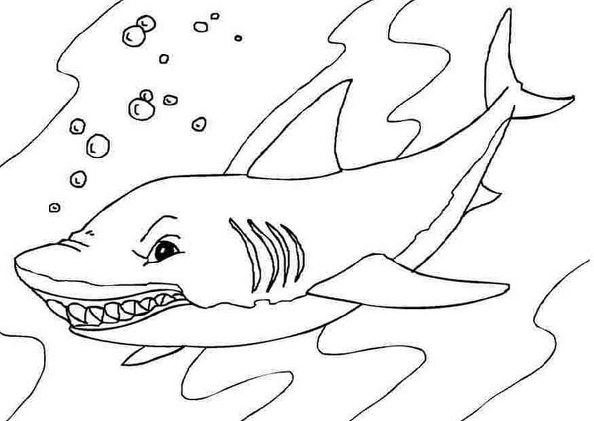 Coloring page 79