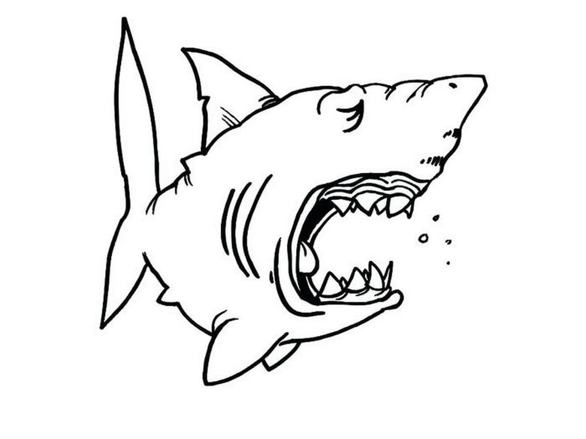 Coloring page 62